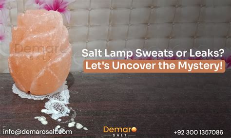 How to Stop My Salt Lamp Leaking 